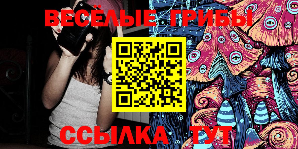 закладка  Вход с VPN  Отрадный  Псилоцибиновые грибы GOLDEN TEACHER 
