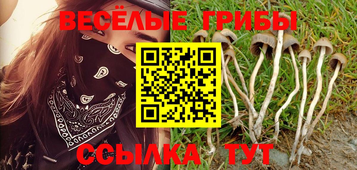 Псилоцибиновые грибы GOLDEN TEACHER Отрадный